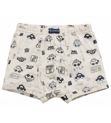 BOXER BOY CHILD'S PRINT...