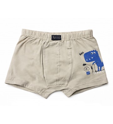 BOXER ΑΓΟΡΙ ΣΕ ΔΙΑΦΟΡΑ...