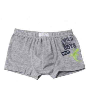 BOXER ΑΓΟΡΙ ΣΕ ΔΙΑΦΟΡΑ...